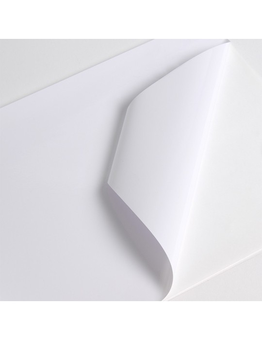 V201WG1 - Blanc Brillant adh permanent incolore